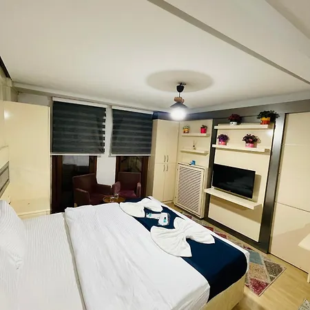 Taksim Premium Aparts 호텔 2*